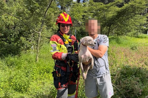 Hombre bajó a una quebrada para rescatar a su perro y terminó atrapado en Quito; los bomberos tuvieron que rescatarlo