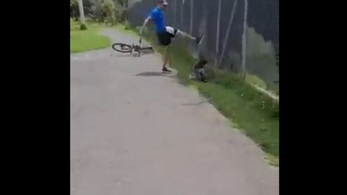 Ataque a perro en parque Bicentenario