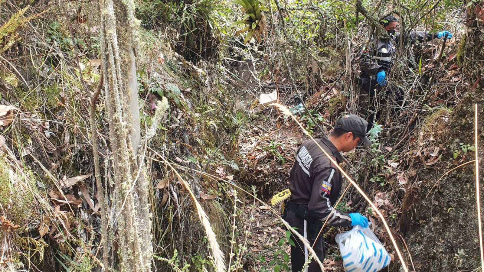 María Belén Bernal