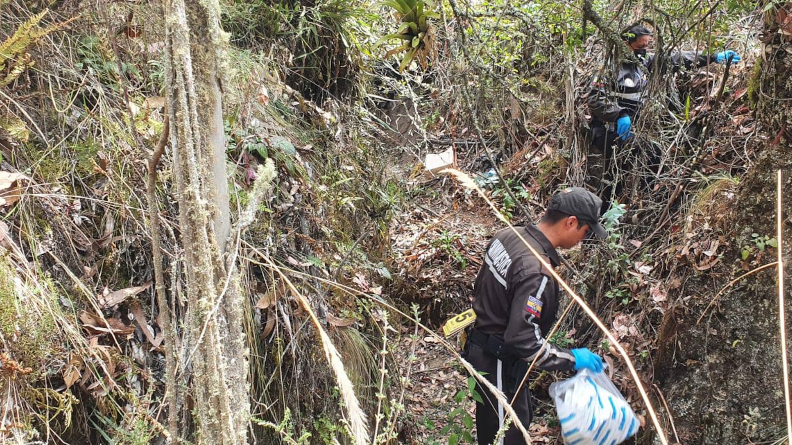 María Belén Bernal