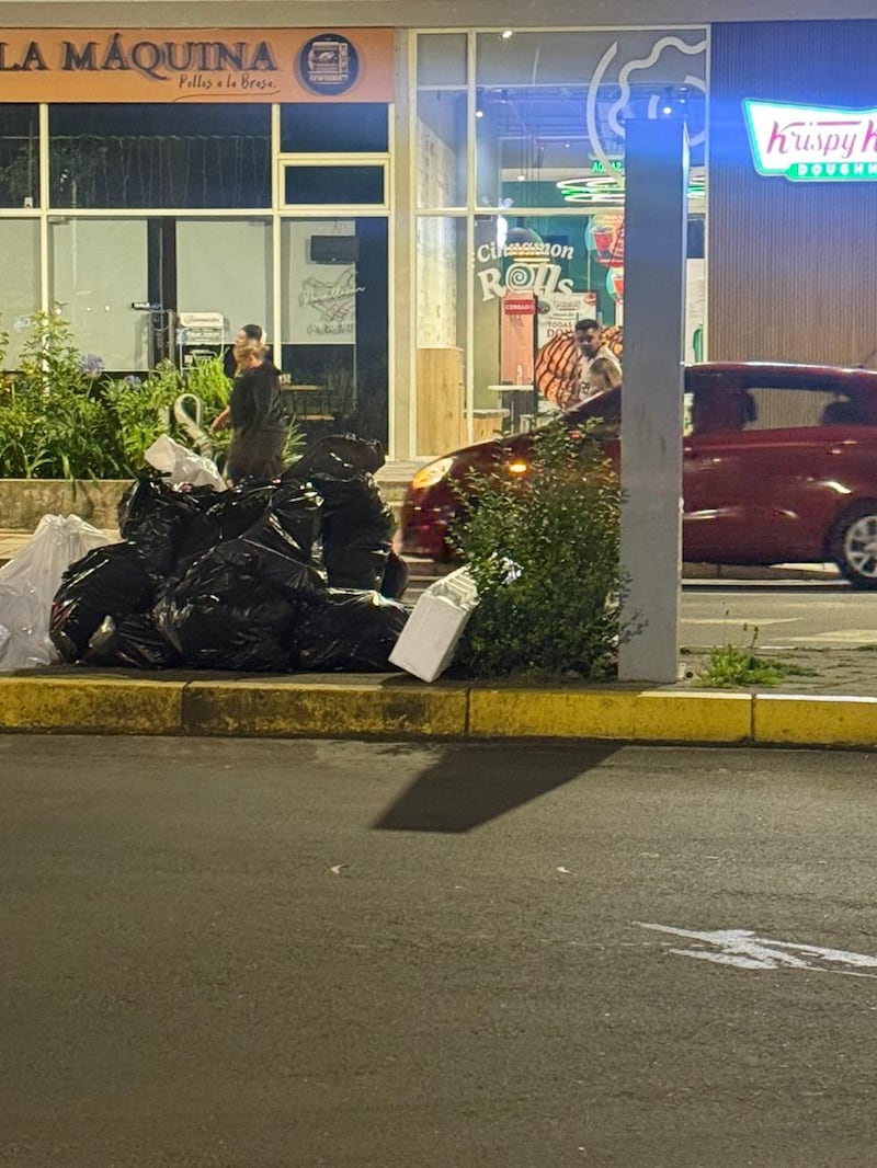 Infestación de ratas en la República del Salvador, Quito