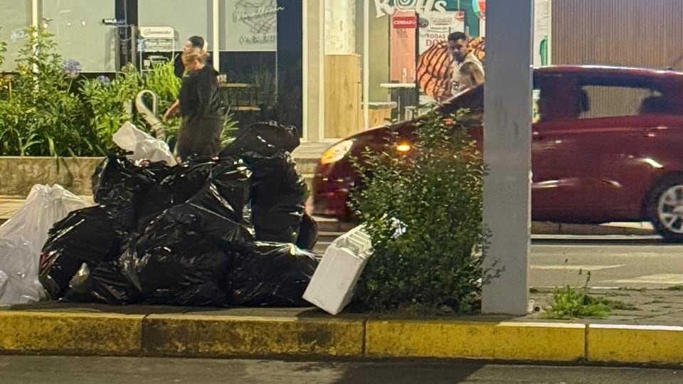 Infestación de ratas en la República del Salvador, Quito
