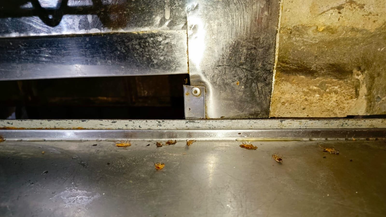 Clausuran local de comidas en Turi