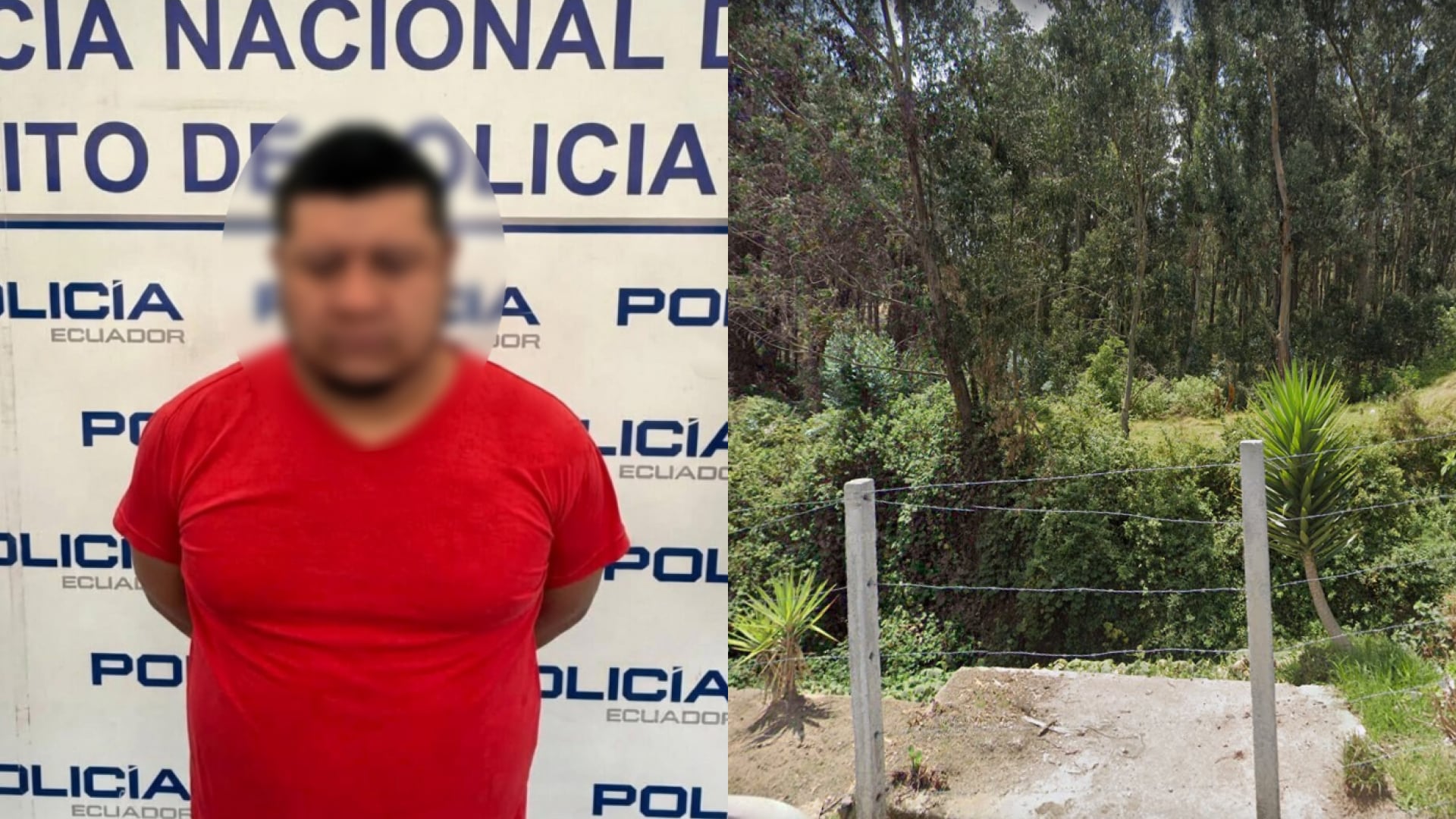 La amenazó con un cuchillo y la llevó a la fuerza a la maleza para violarla en el bosque de La Mena, en Quito