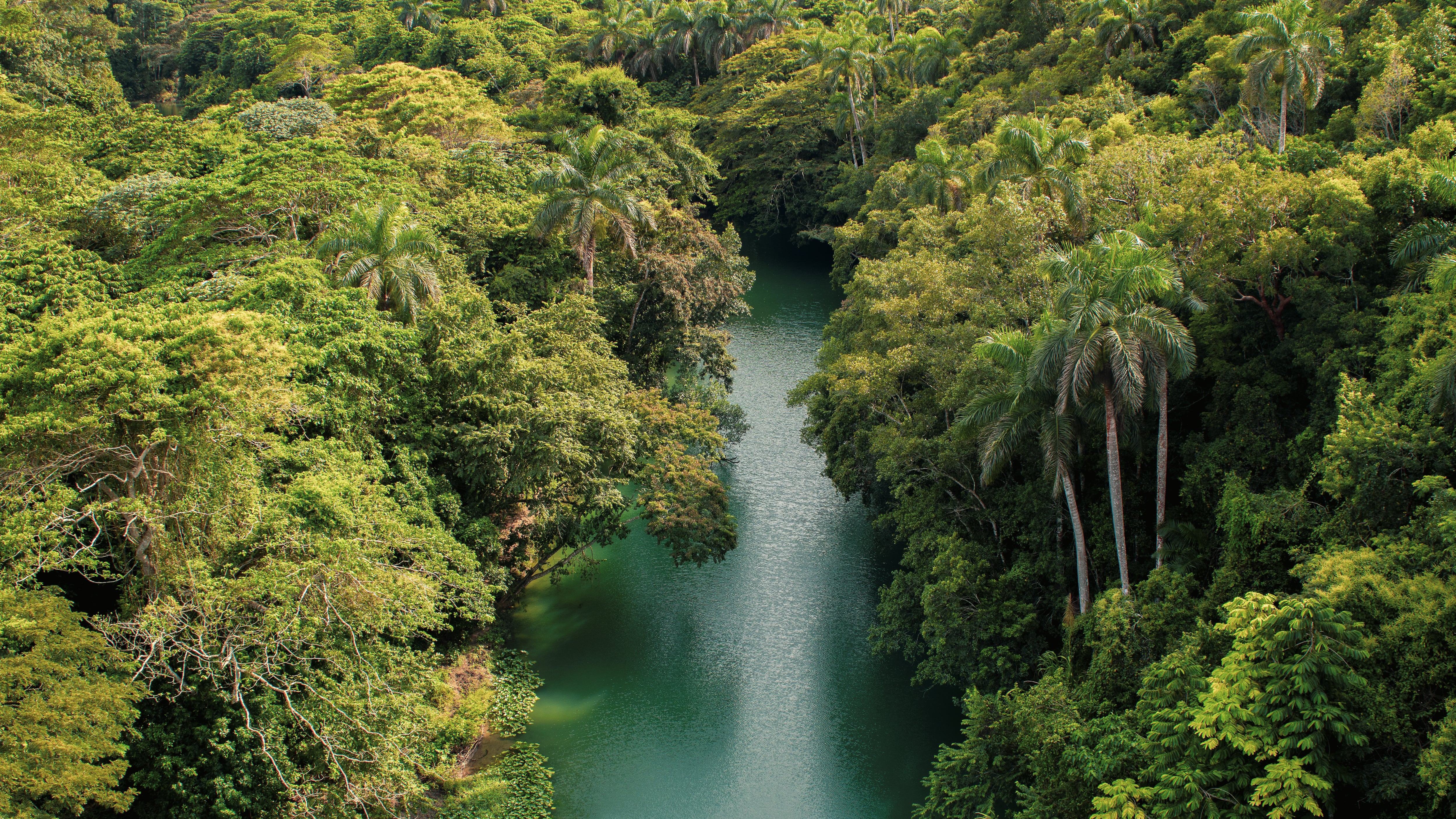 El hallazgo científico revela la alta biodiversidad de la región y refuerza la importancia de su conservación