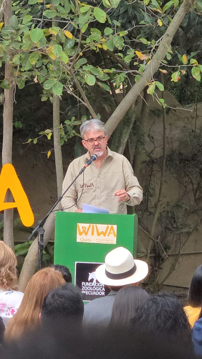 Martín Bustamante - Miembro de WIWA
