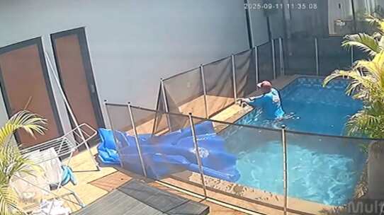 rescate a perrito ciego