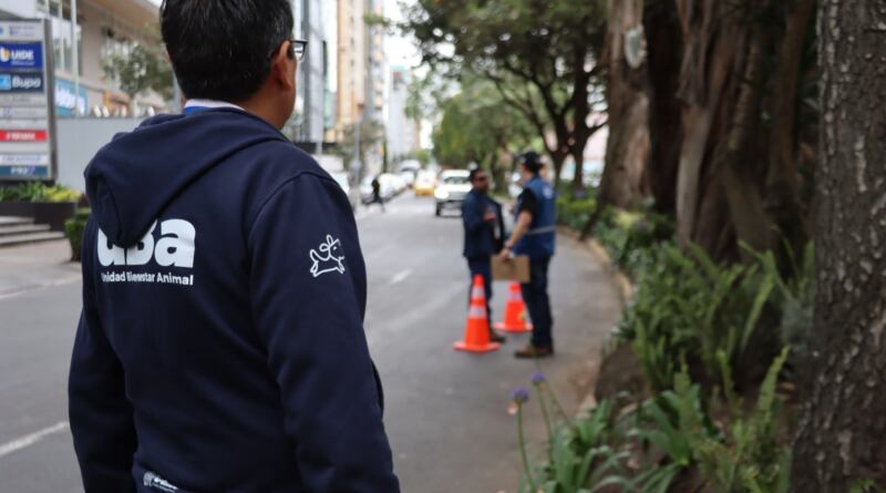 Dos restaurantes insalubres en operativo por plaga de ratas en la av. República de El Salvador, Quito