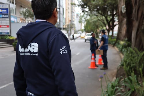 Dos restaurantes insalubres en operativo por plaga de ratas en la av. República de El Salvador, Quito