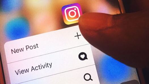 De las redes sociales salen cientos de teorías