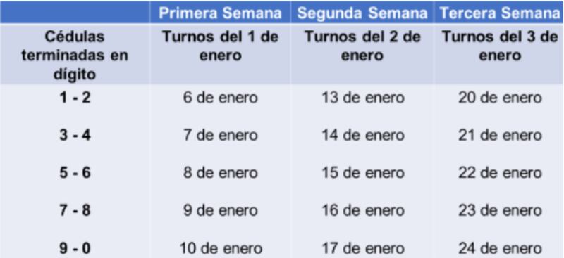 ANT reagendó turnos del 1 al 3 de enero para licencias de conducir