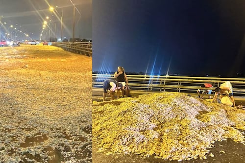 Eran desechos de camarón lo que se derramó en el Puente de la Unidad Nacional, en Guayaquil