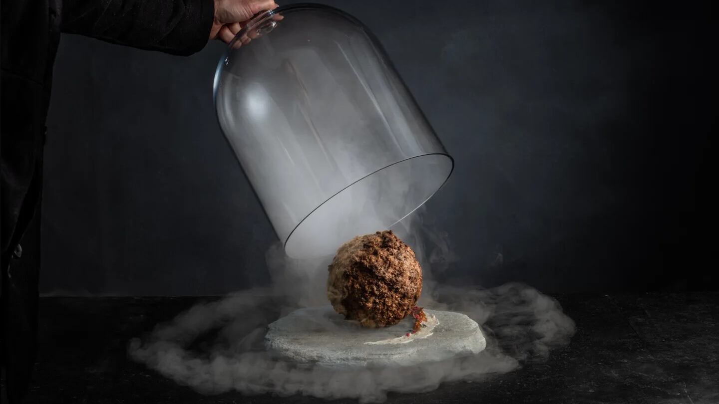 Albondiga de mamut lanudo