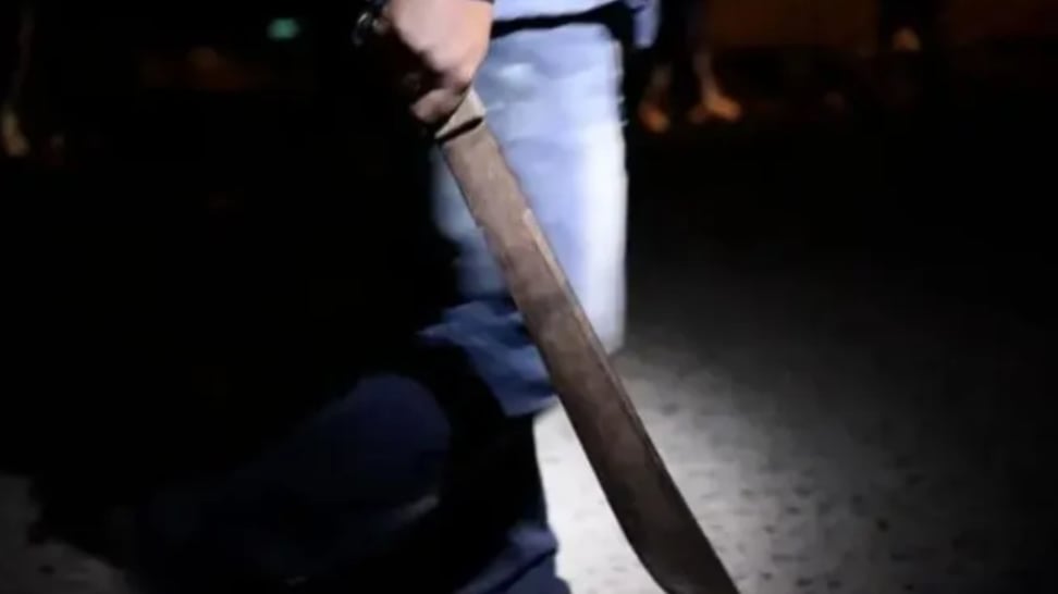 Fiscalía: hombre pasará 40 años en la cárcel por matar a un anciano con un machete