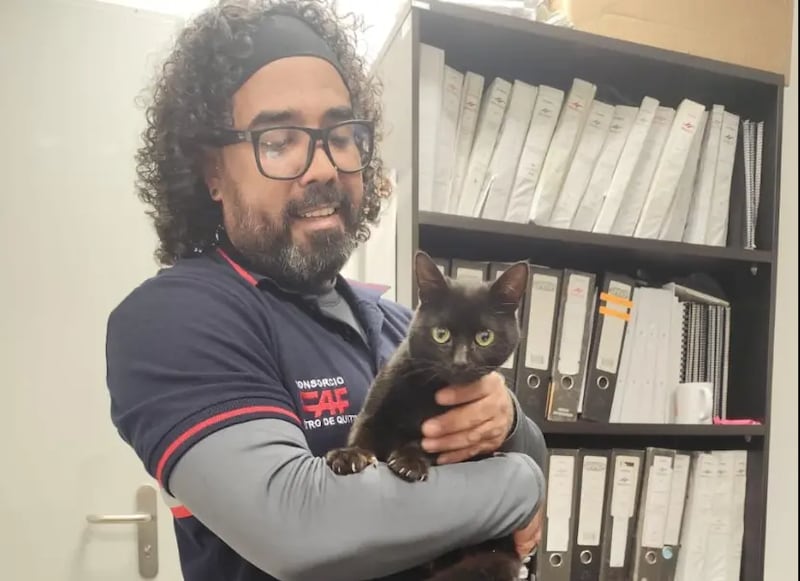 Gatito que invadió la vía del Metro de Quito fue rescatado