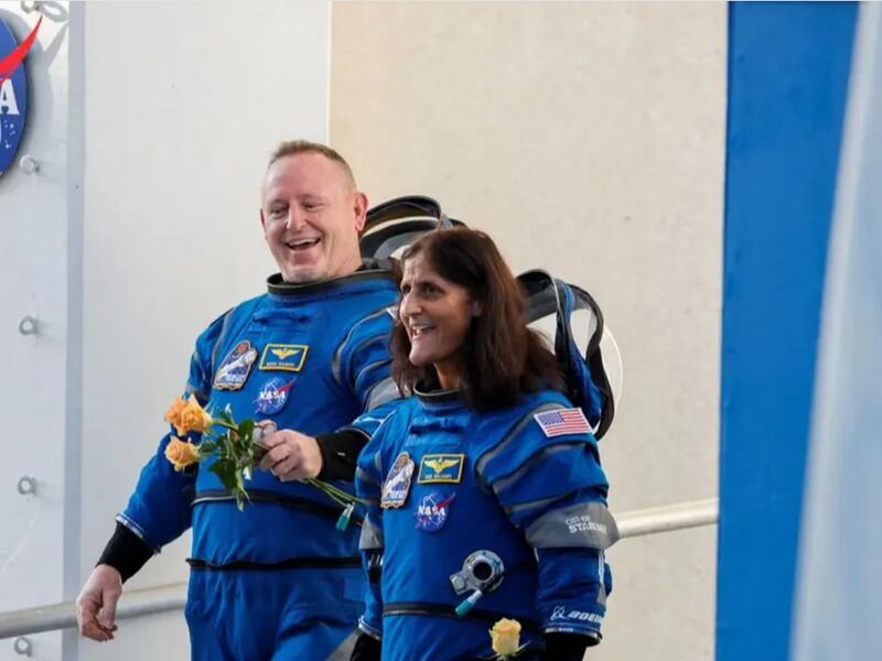 Delfines les dan la bienvenida a los astronautas de la NASA