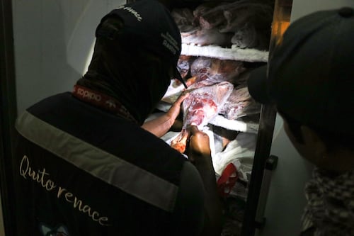 Quito: AMC retuvo ocho toneladas de productos cárnicos en estado de deterioro o provenientes de camales clandestinos en lo que de 2024