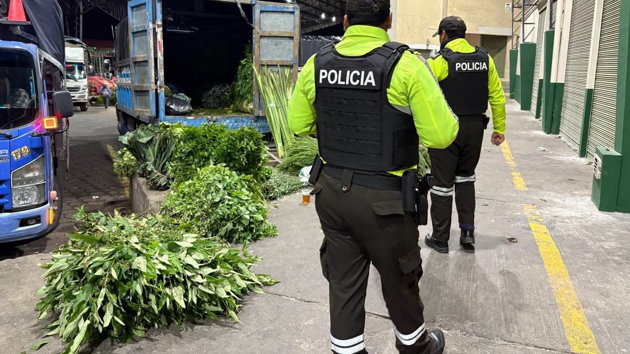 Domingo de Ramos 2026: la palma de cera sigue prohibida en Ecuador