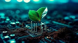 Xiaomi presenta su estrategia para el Desarrollo Sostenible en la COP29