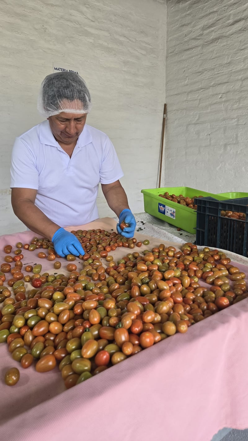 Productores de Valor