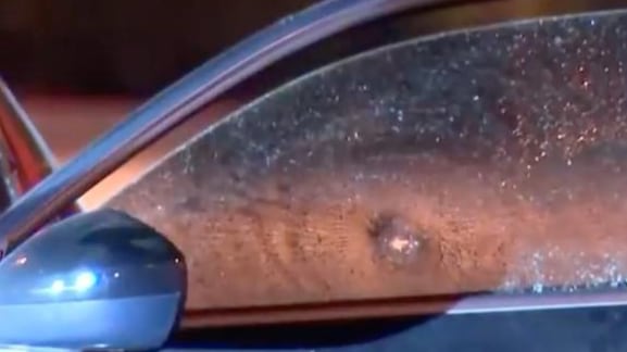 madre mató a sus hijos