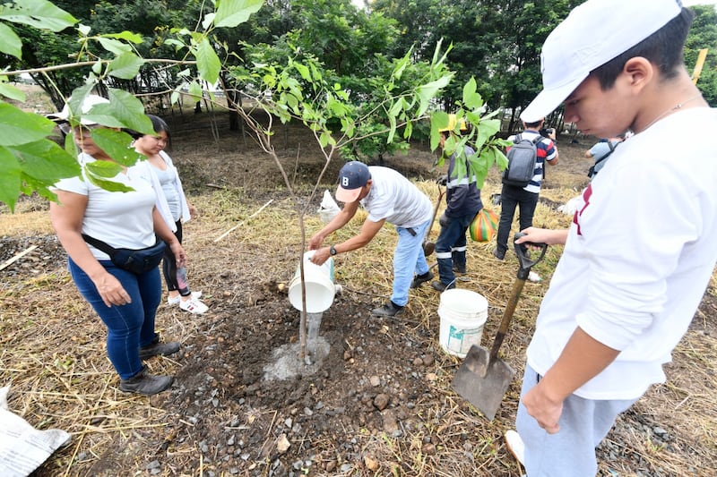 El Municipio reportó avances en reforestación, sostenibilidad y protección ecológica durante el periodo administrativo 2023-2027.