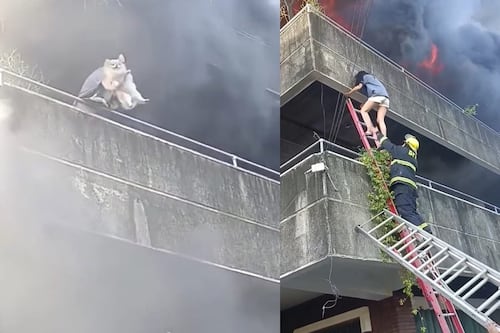VIDEO: Mujer durante un voraz incendio decidió salvar primero a sus mascotas