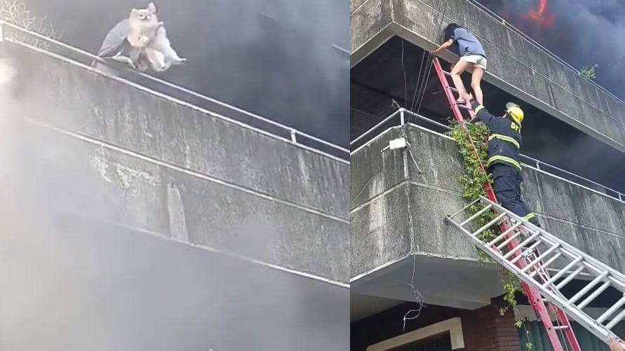 Mujer salva primero a sus perros durante un voraz incendio en Mandaue.