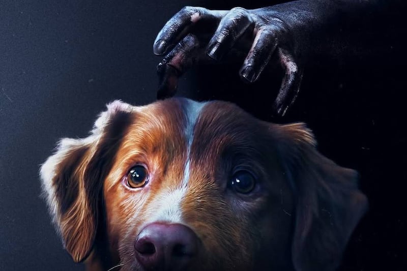 Good Boy