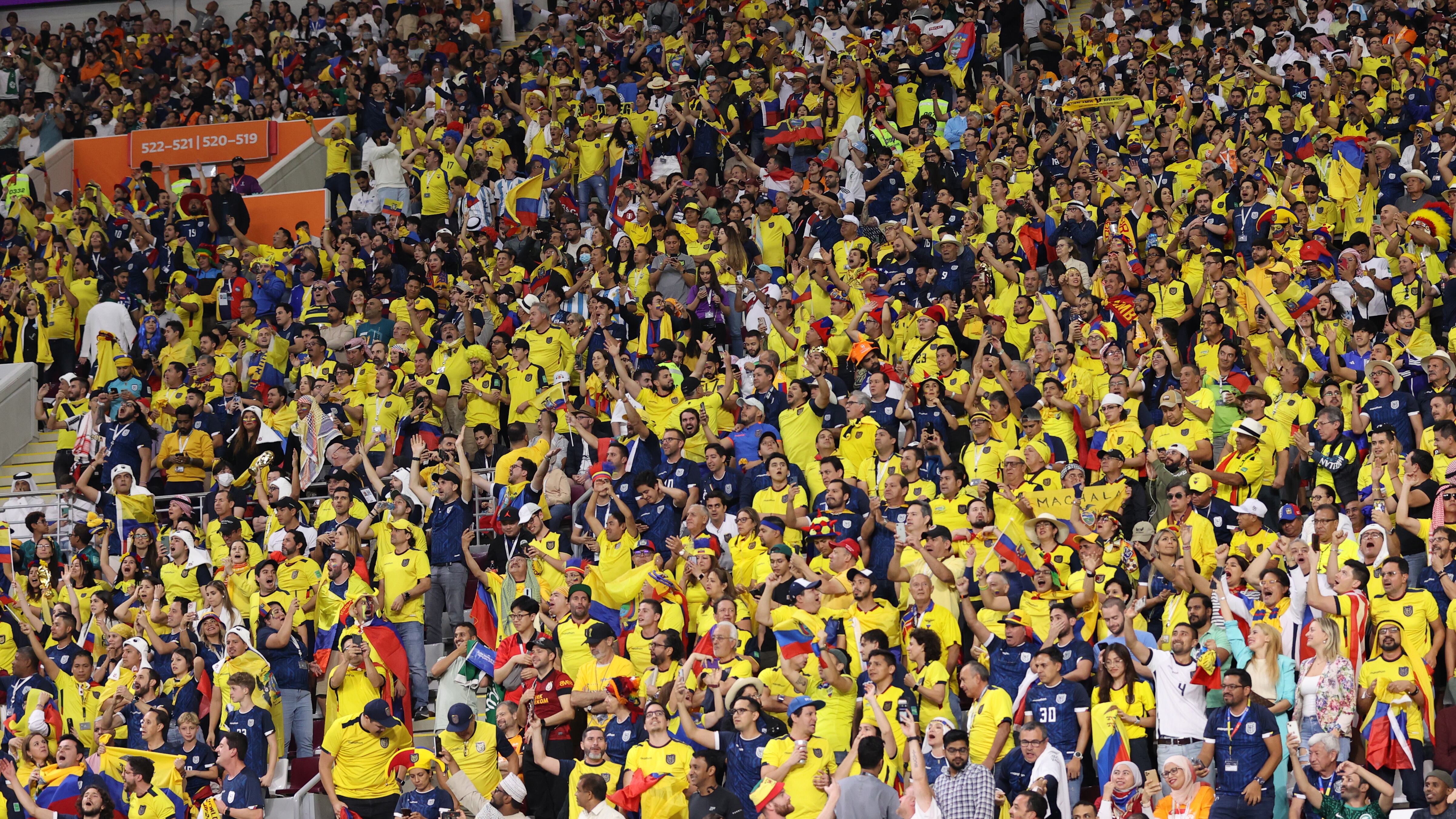 Seguidores de Ecuador durante el partido entre Holanda y Ecuador en el Estadio Internacional Khalifa en Doha