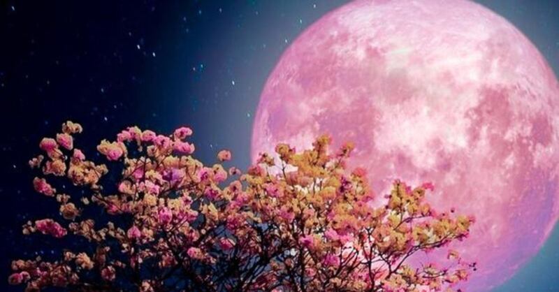 El solsticio de verano y la Luna de Fresa son los eventos astronómicos que sorprenderán en junio 2024