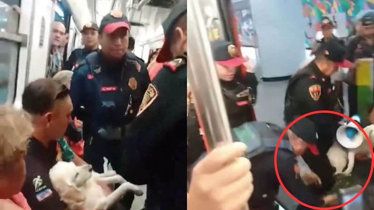 Policías sacan del Metro a usuario que trasladaba a su perrito herido al veterinario