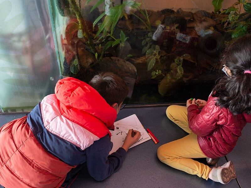 Museos en Quito