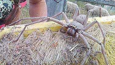 Twitter @PrestonTVNews