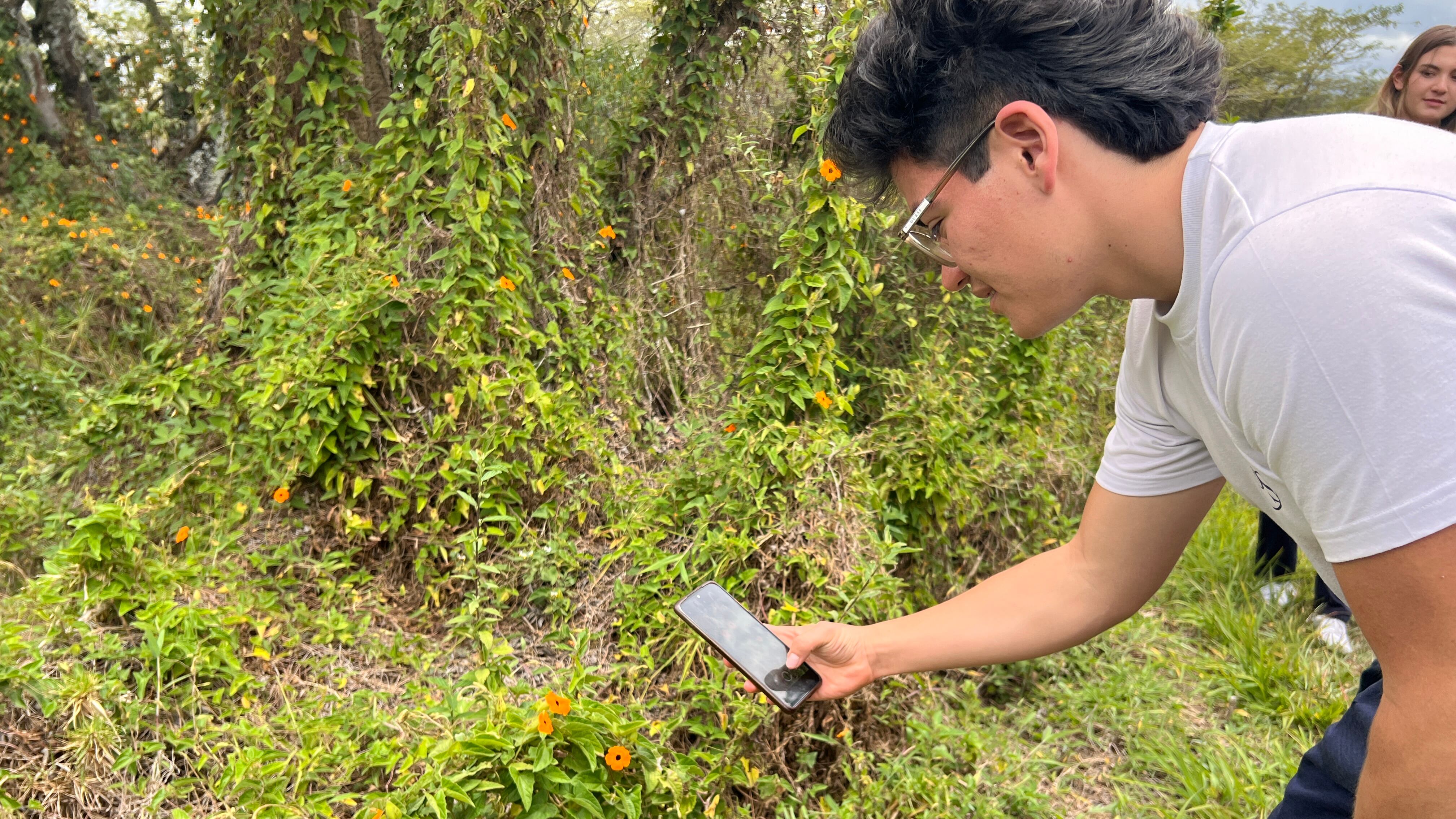 BioBlitz - PUCE 2022