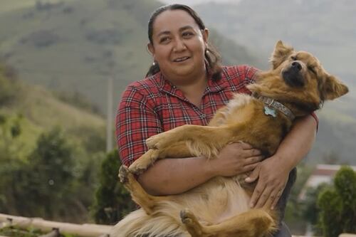 ¡Jachi, el perrito que salvó a Lucas en el cerro Puñay ya recibió ayuda!