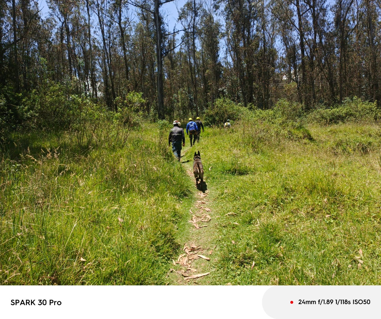Hallan el cuerpo de Gregory Allen Krupa en el Parque Metropolitano 