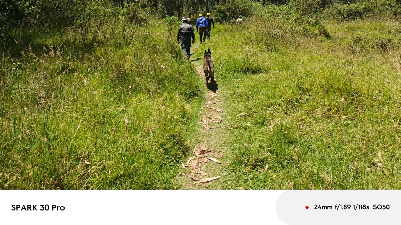 Labores de búsqueda del cuerpo de Gregory Allen Krupa en el Parque Metropolitano