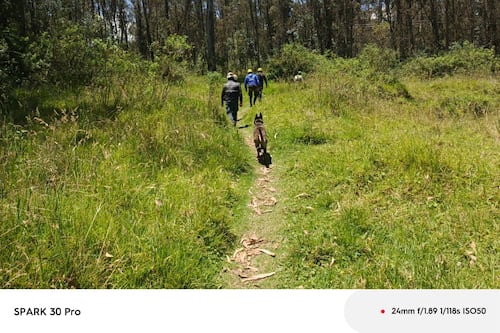 Hallan el cuerpo de Gregory Allen Krupa en el Parque Metropolitano