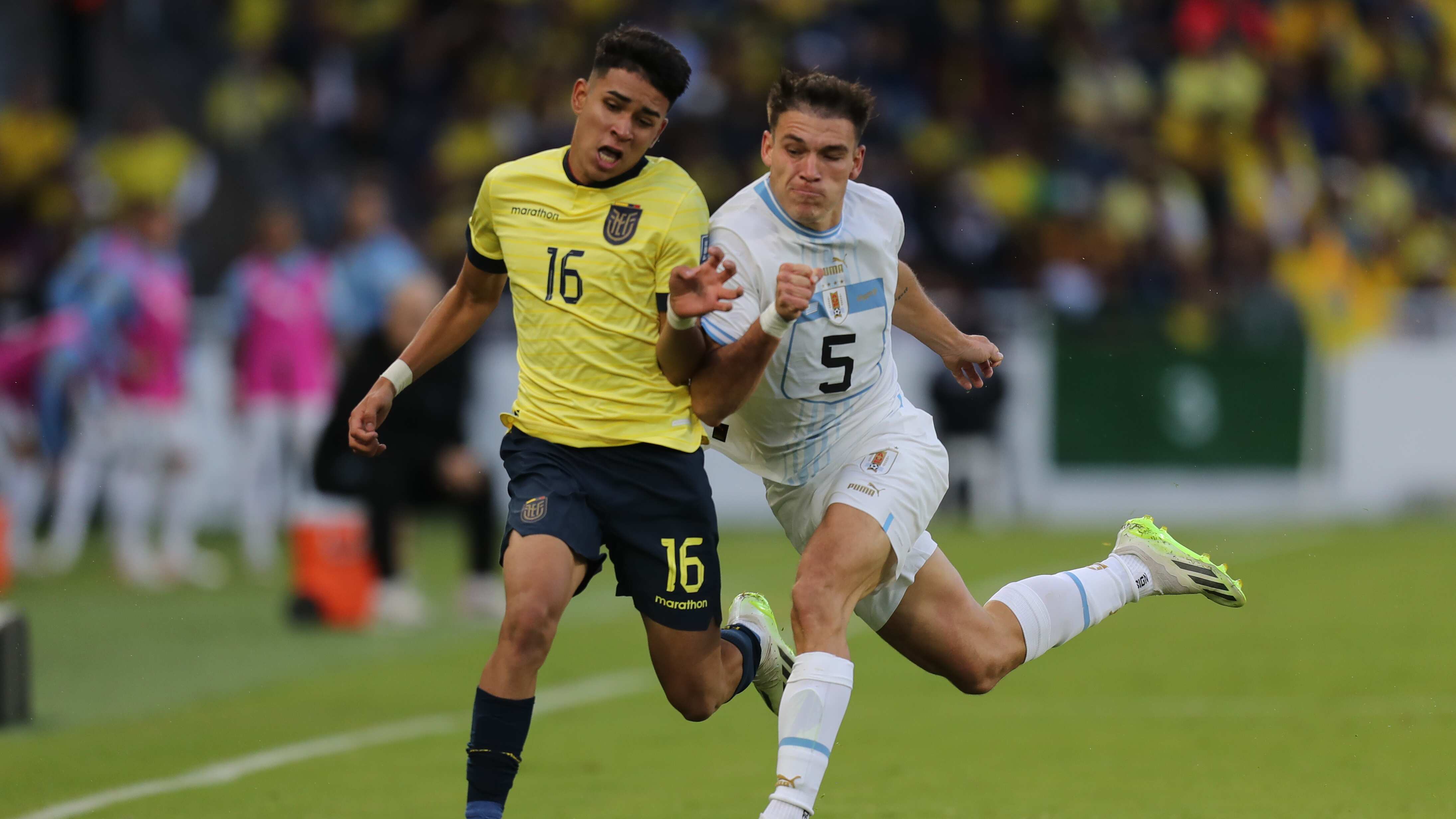 Kendry Páez disputa el balón con Manuel Ugarte Ribeiro de Uruguay en un partido de las Eliminatorias Sudamericanas para la Copa Mundial de Fútbol 2026