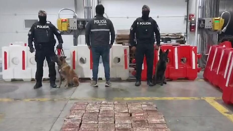 Intentan enviar más de USD 2 millones de dólares en cocaína a Bélgica