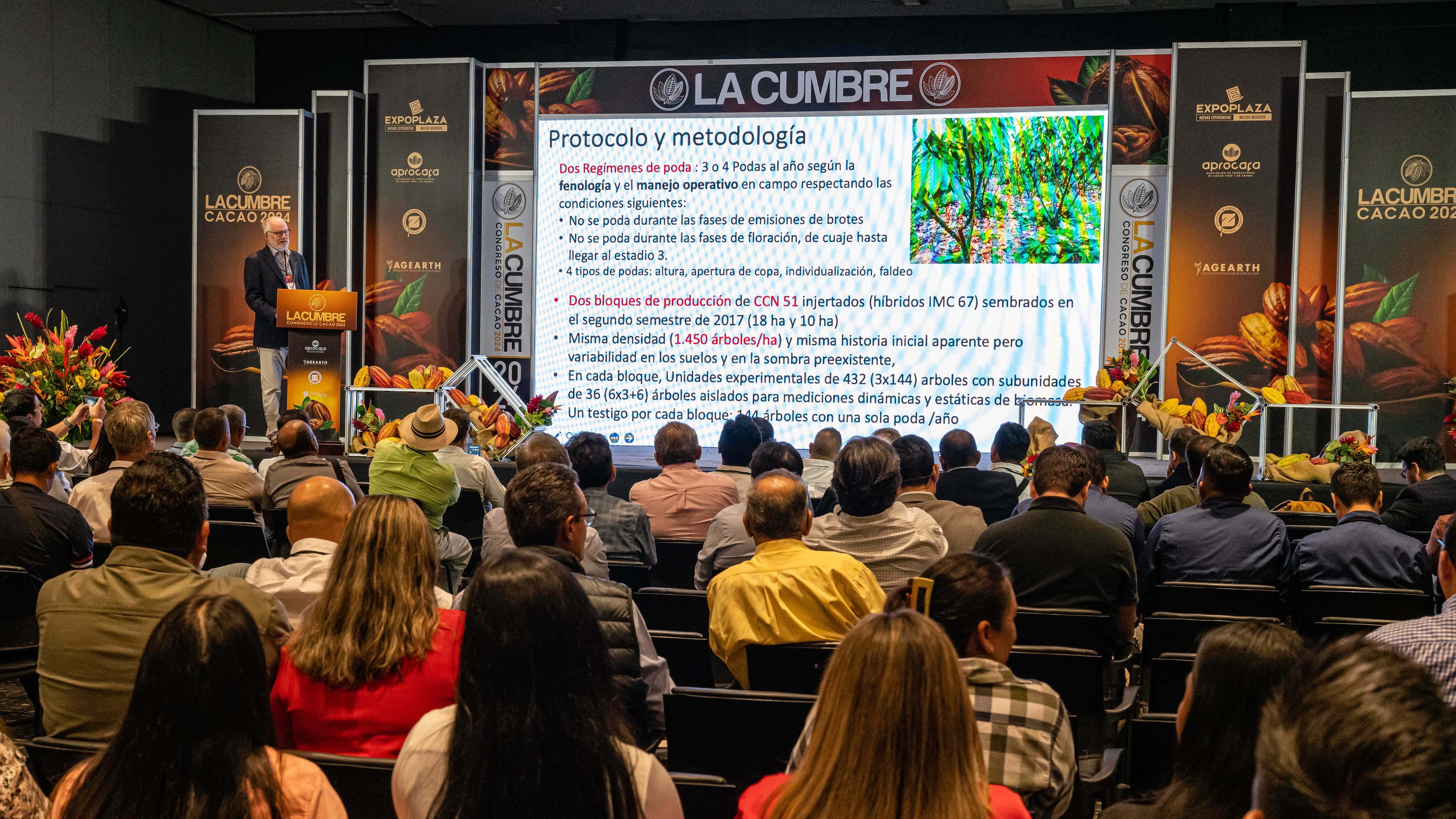 Ecuador exporta USD 1 333 millones en cacao Metro Ecuador Ecuador exporta USD 1 333 millones en cacao Metro Ecuador