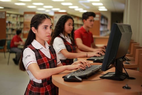 Estas son las materias que estarán en la nueva malla curricular 2024
