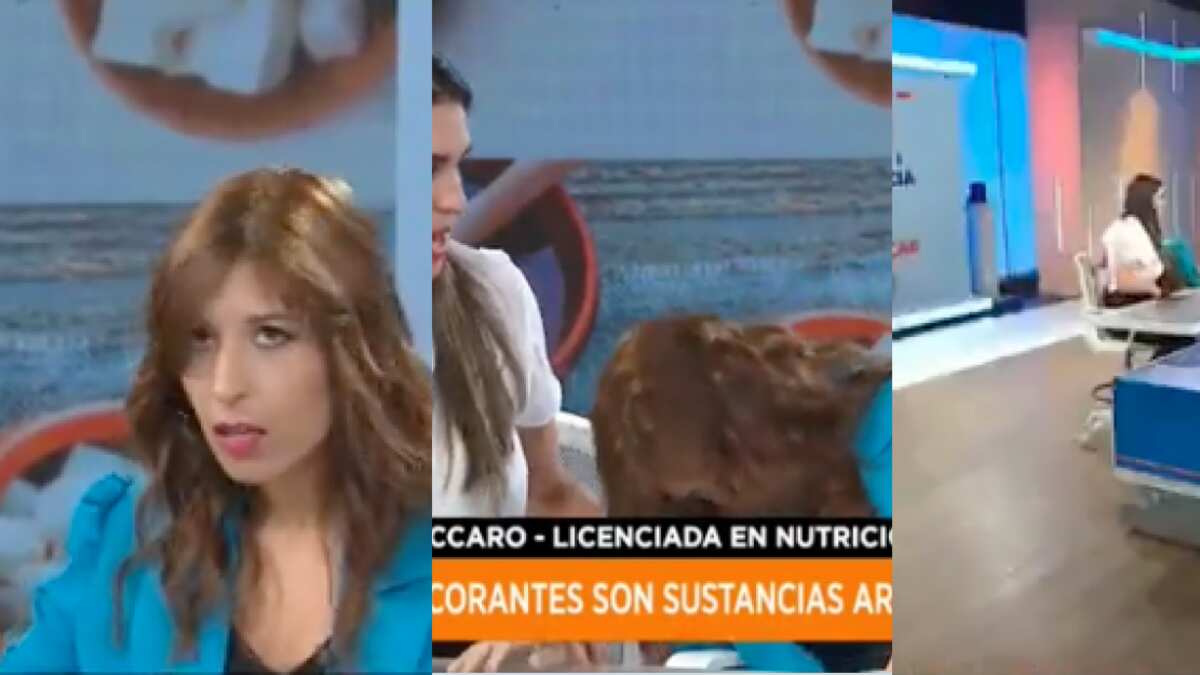 Nutricionista se desmaya en pleno noticiero