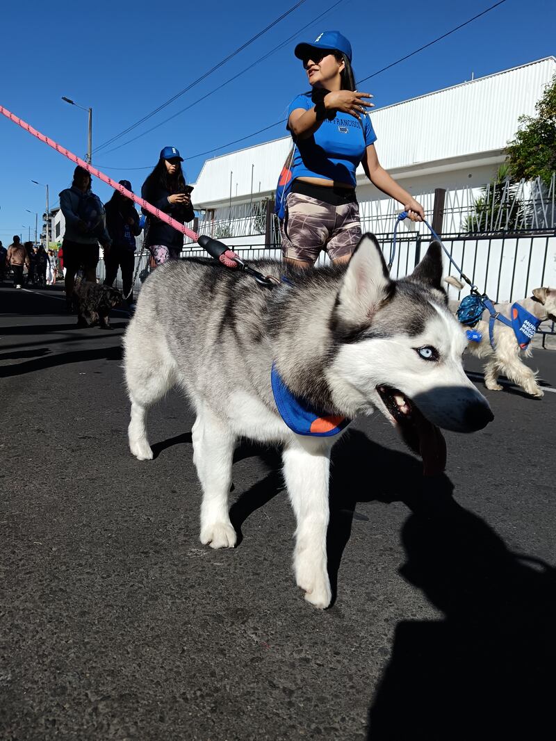 ’Ruta Mágica, ¡Vamos a pata!’ de Mundo Mágico de la Mascota