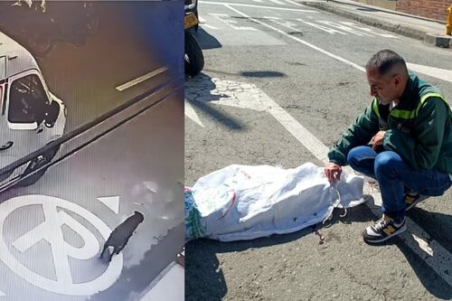 Desgarrador: Perrito murió atropellado por conductor que se fugó y lo dejó tirado como si nada