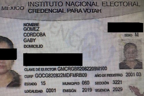 Ella es la mujer que atropelló, arrastró y huyó tras matar a un repartidor en México