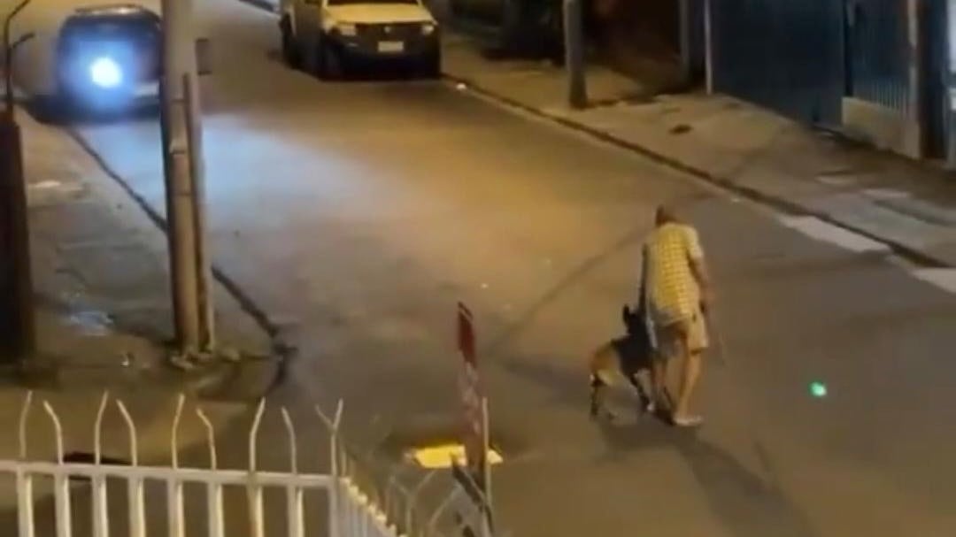 Sujeto atropella a adulto mayor y su perro