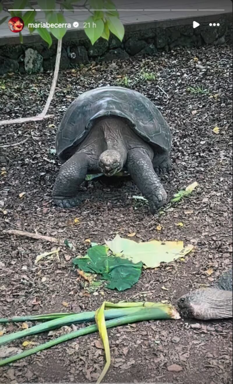 Las fotos de María Becerra disfrutando de las Islas Galápagos