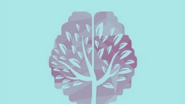 Elige una de las opciones.